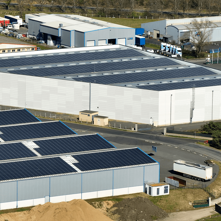 Distribuidoras de Bebidas