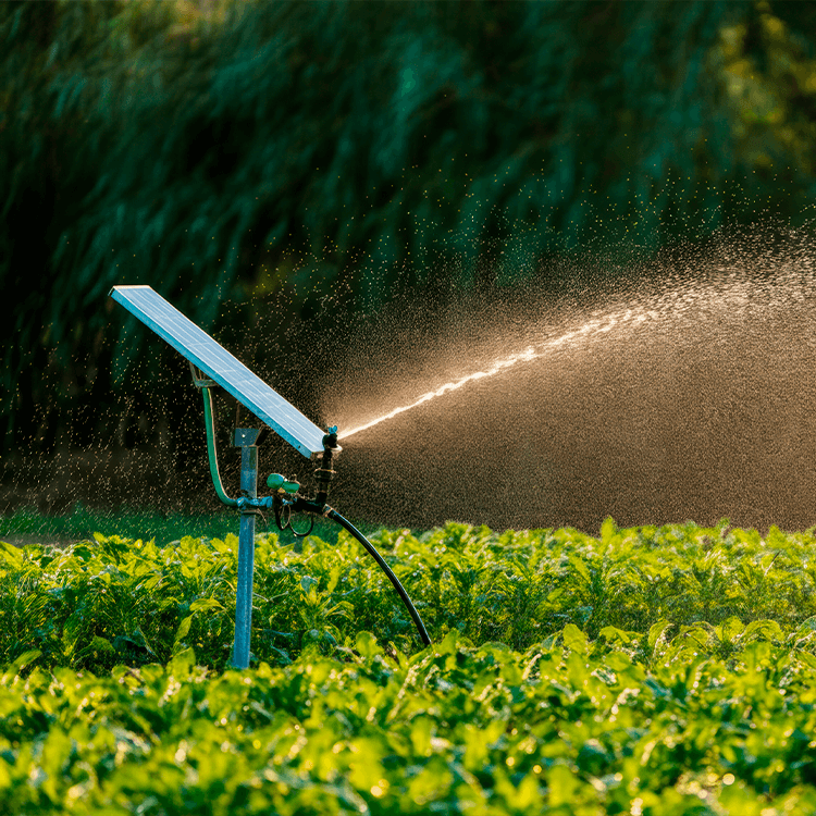 Irrigação Automática